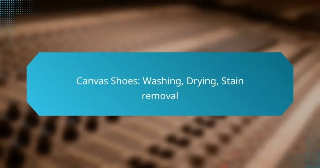 Canvas Shoes: Washing, Drying, Stain removal