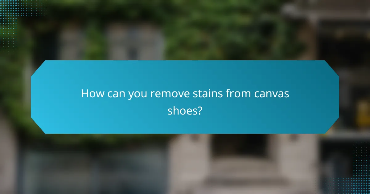 How can you remove stains from canvas shoes?