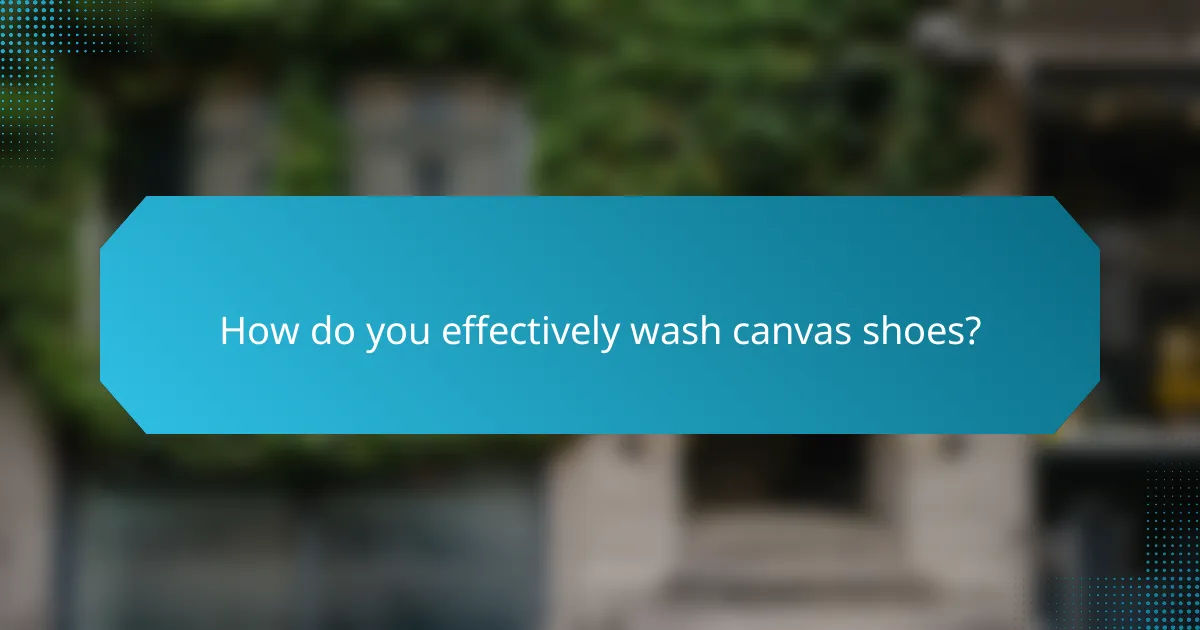 How do you effectively wash canvas shoes?