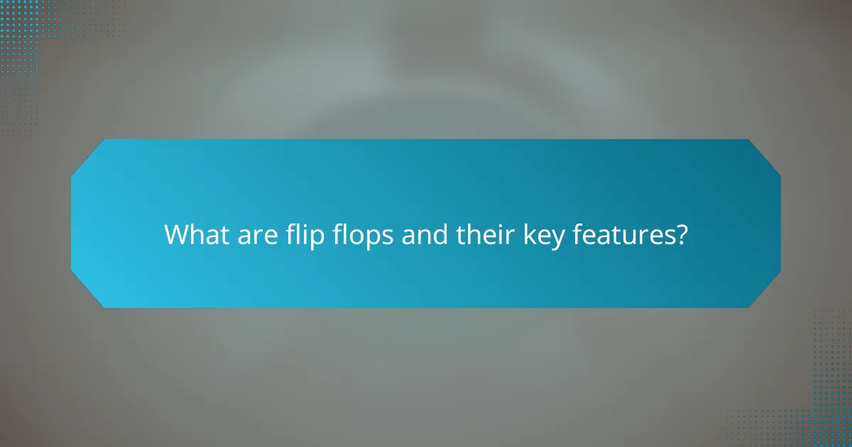 What are flip flops and their key features?