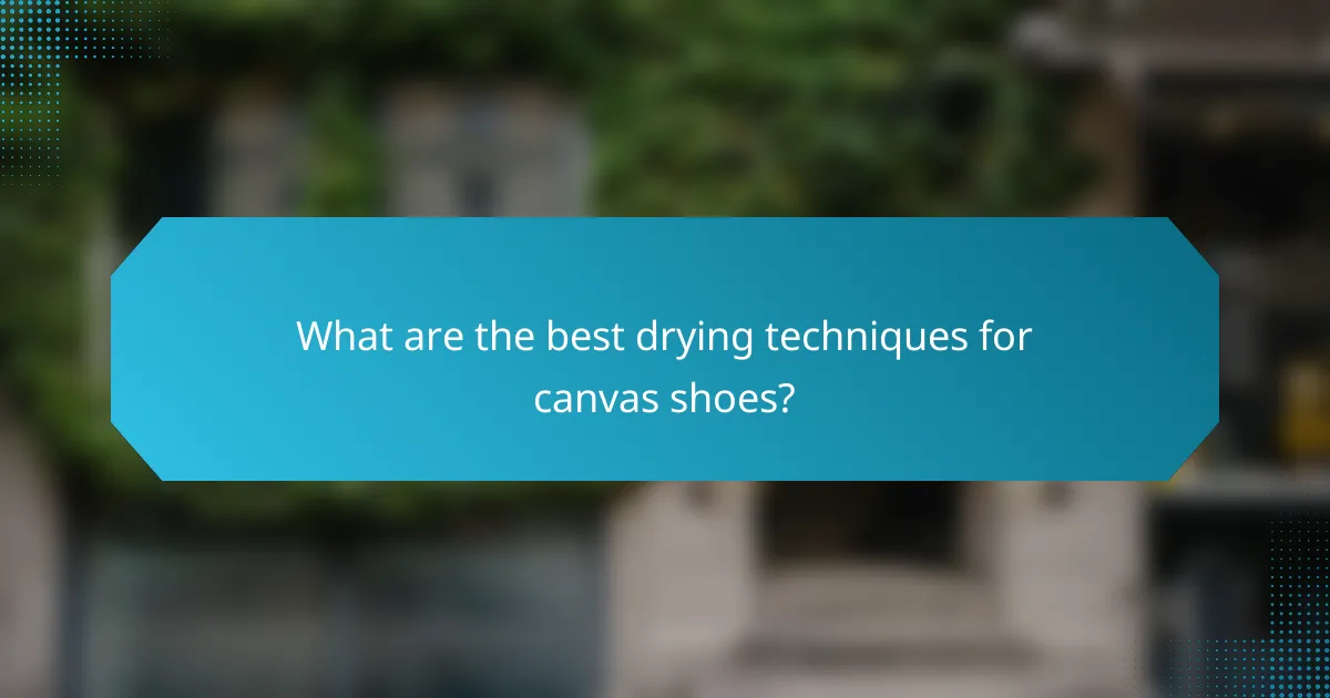 What are the best drying techniques for canvas shoes?