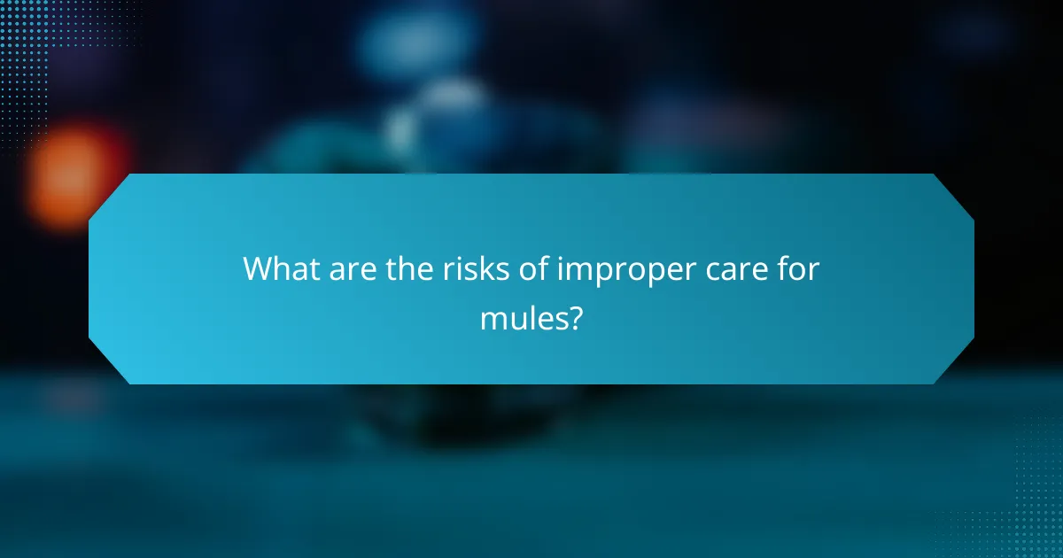 What are the risks of improper care for mules?