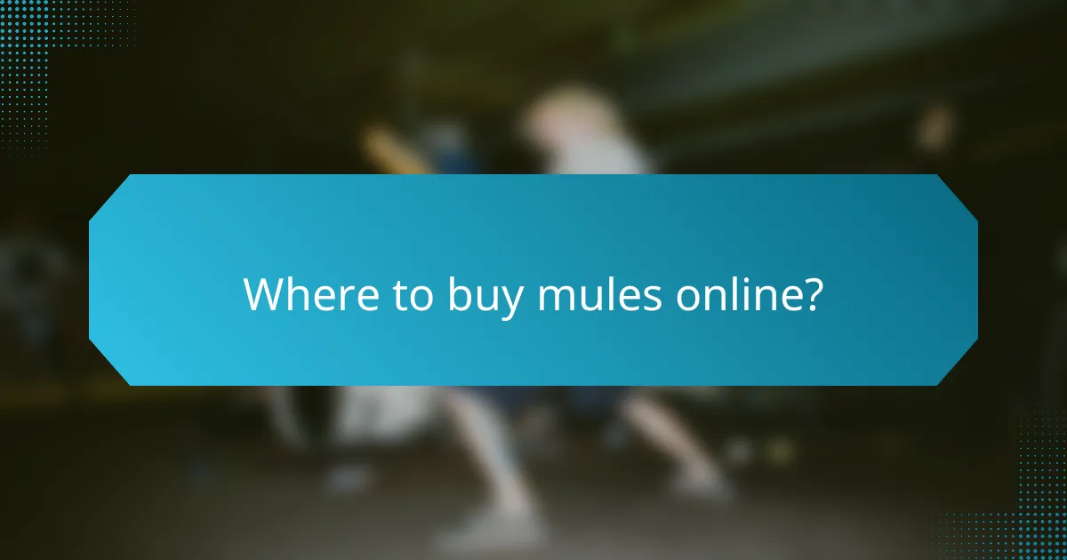 Where to buy mules online?