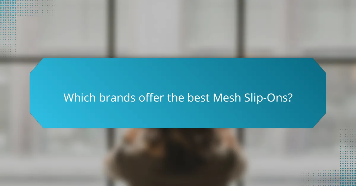 Which brands offer the best Mesh Slip-Ons?